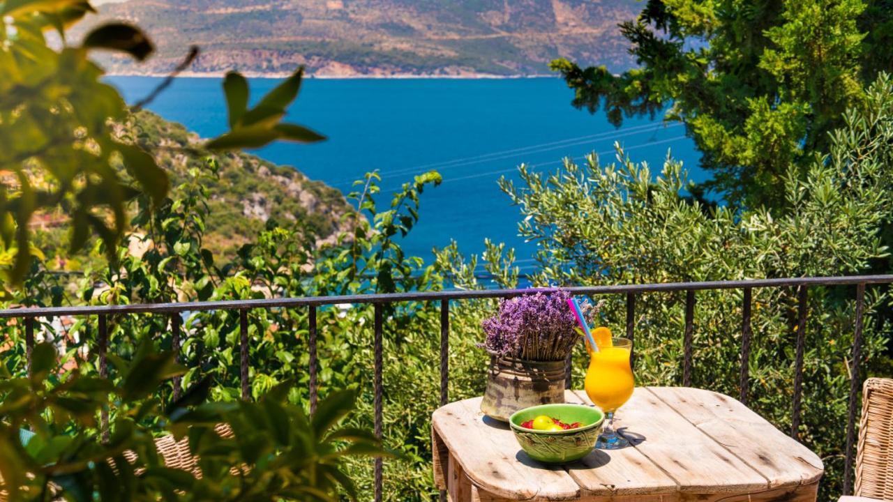 Fidanka Hotel Kalkan Eksteriør billede